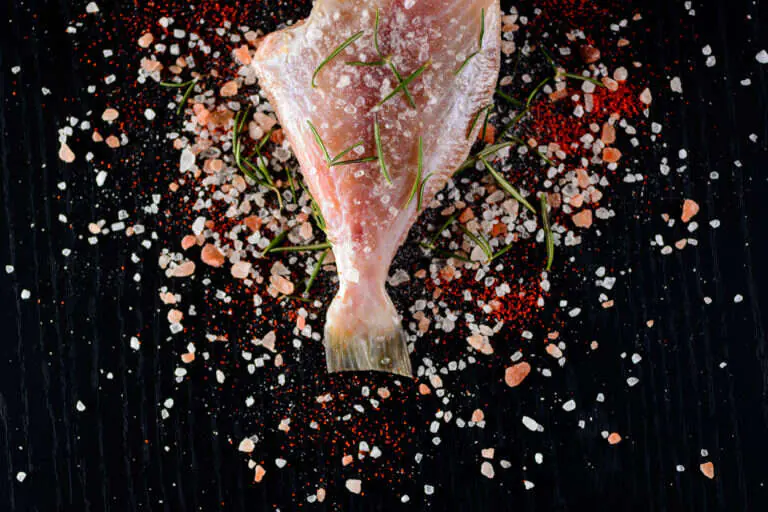 Fotografia de comida para Santo Peixe