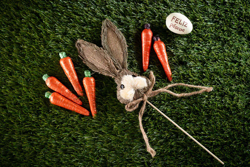 Fotografia de produto para Le Chocolatier, foto 4 de 7