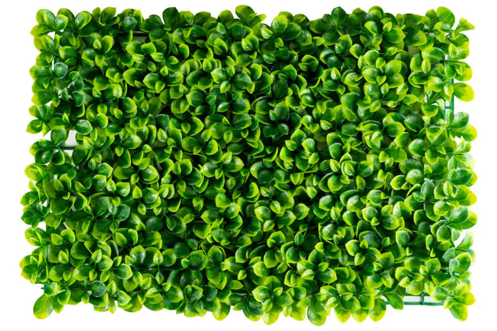 Fotografia de produto para Alem Mar Imports, foto 1 de 8