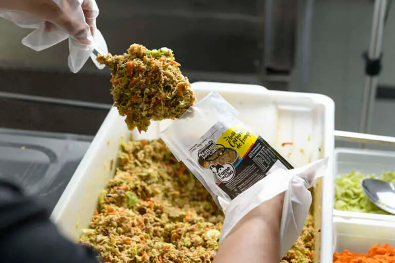 Fotografia de comida para Fome de Cão