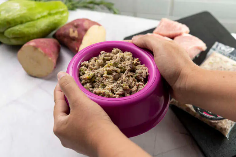 Fotografia de comida para Fome de Cão