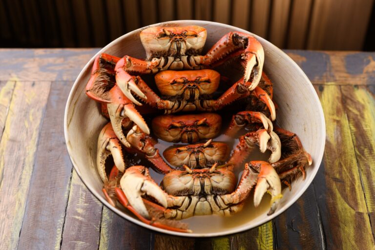 Fotografia de comida para Caranguejo do Assis